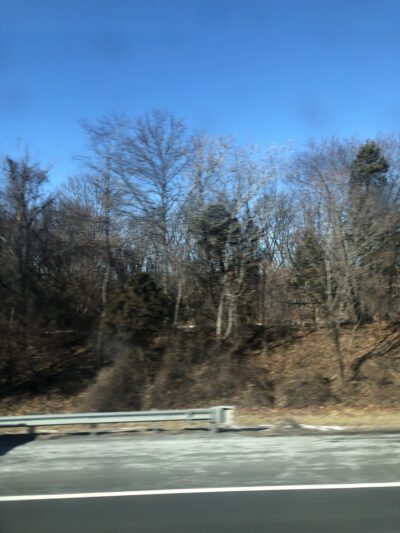 Mill Road Park - Edison, NJ