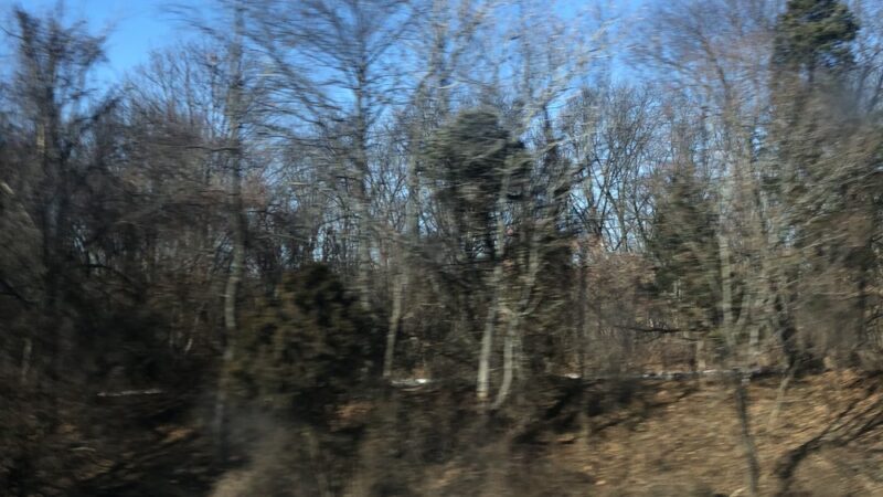 Mill Road Park - Edison, NJ