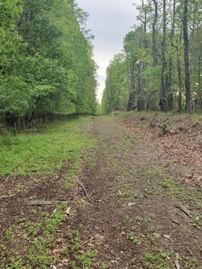 Mill Road Park - Edison, NJ