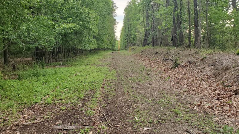 Mill Road Park - Edison, NJ