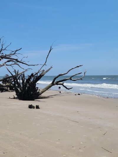 Boneyard Beach Parking - Edisto Island, SC