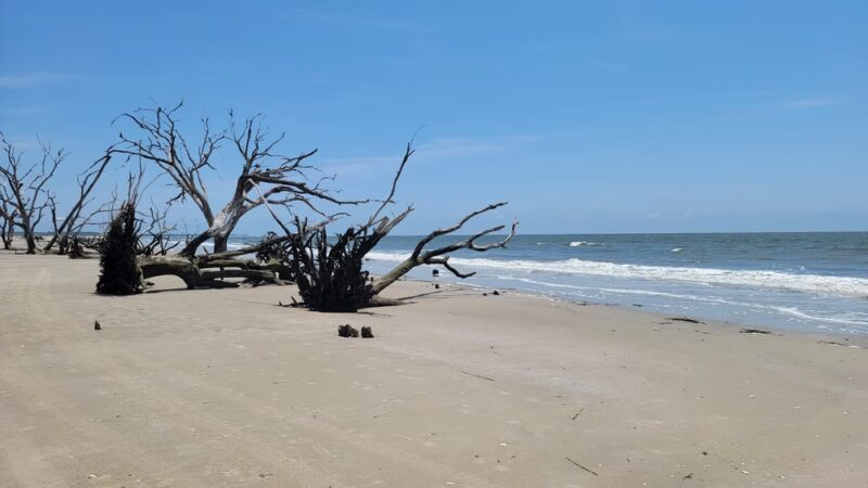 Boneyard Beach Parking - Edisto Island, SC