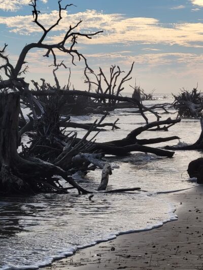 Boneyard Beach Parking - Edisto Island, SC