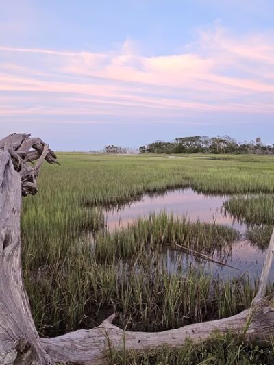 Boneyard Beach Parking - Edisto Island, SC
