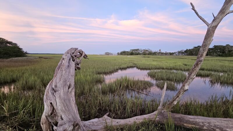 Boneyard Beach Parking - Edisto Island, SC