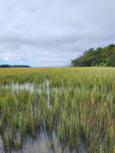 Boneyard Beach Parking - Edisto Island, SC