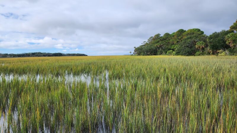 Boneyard Beach Parking - Edisto Island, SC