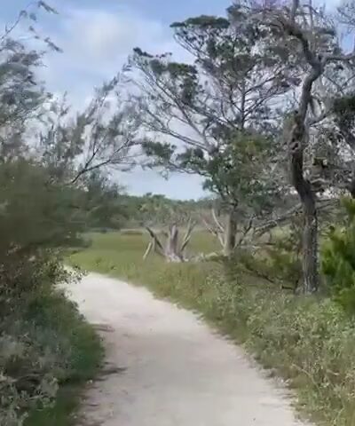 Botany Bay - Edisto Island, SC