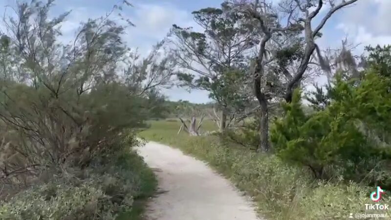 Botany Bay - Edisto Island, SC