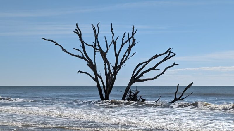 Botany Bay - Edisto Island, SC