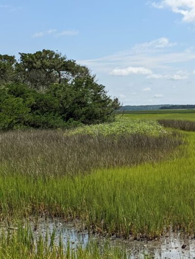 Botany Bay - Edisto Island, SC