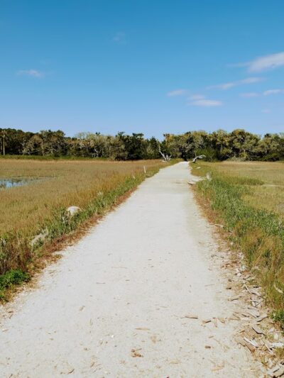 Botany Bay - Edisto Island, SC