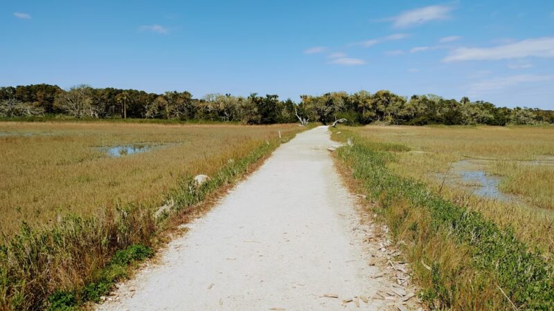 Botany Bay - Edisto Island, SC