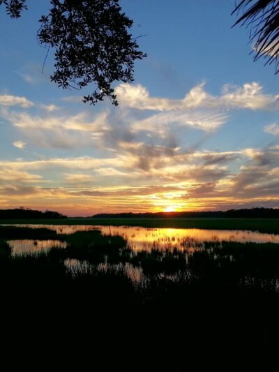 Edisto Beach State Park - Edisto Island, SC