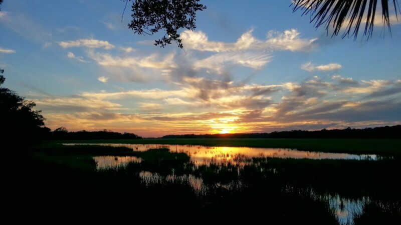 Edisto Beach State Park - Edisto Island, SC