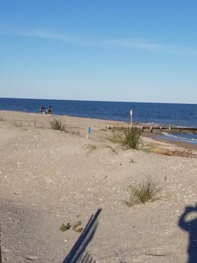 Edisto Beach State Park - Edisto Island, SC