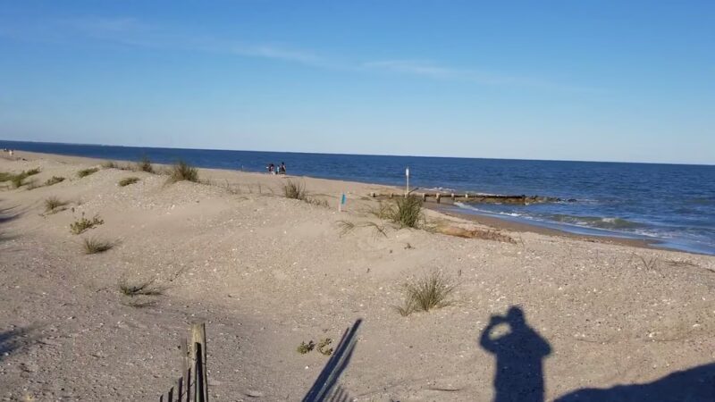 Edisto Beach State Park - Edisto Island, SC