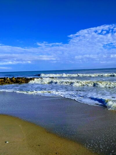 Edisto Beach State Park - Edisto Island, SC