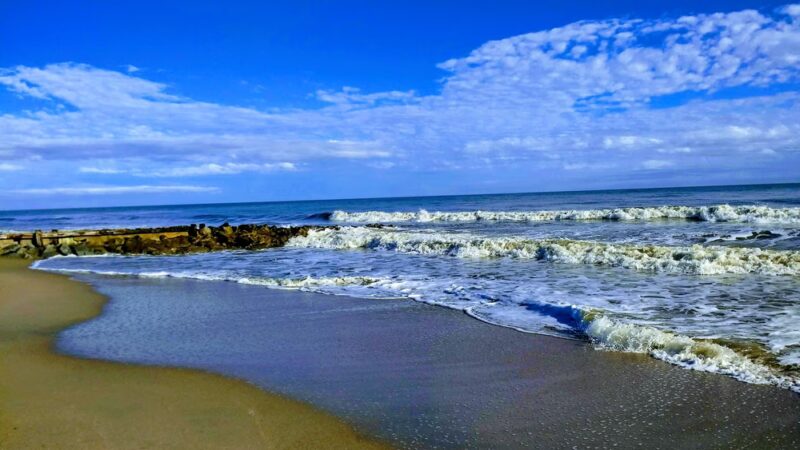 Edisto Beach State Park - Edisto Island, SC