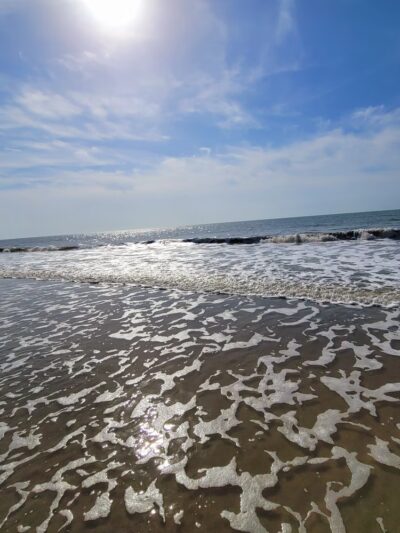 Edisto Beach State Park - Edisto Island, SC