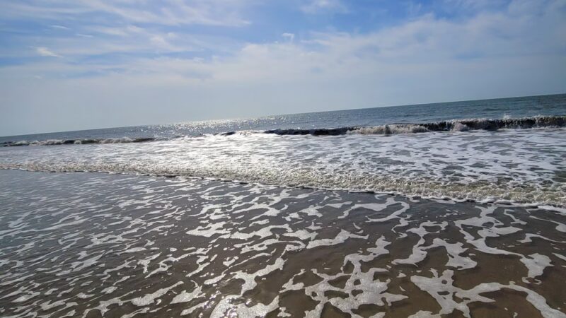 Edisto Beach State Park - Edisto Island, SC