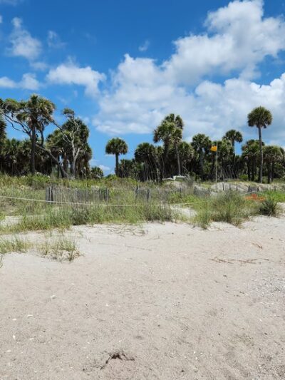 Edisto Beach State Park - Edisto Island, SC