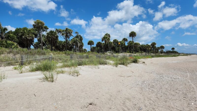 Edisto Beach State Park - Edisto Island, SC
