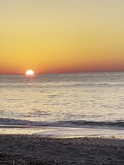 Edisto Beach State Park Campground - Edisto Island, SC