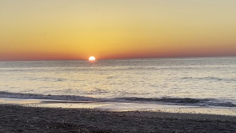 Edisto Beach State Park Campground - Edisto Island, SC
