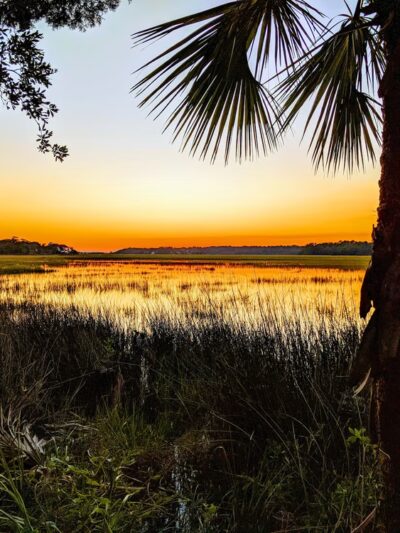 Jungle Road Park - Edisto Island, SC