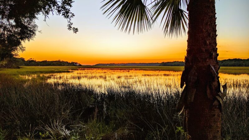 Jungle Road Park - Edisto Island, SC