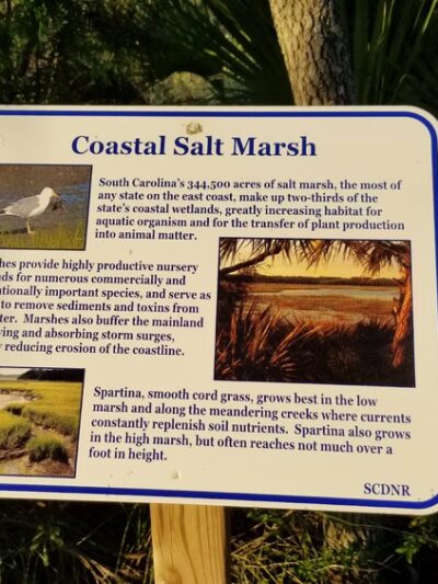 Jungle Road Park - Edisto Island, SC