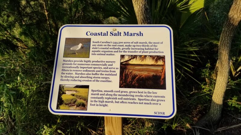 Jungle Road Park - Edisto Island, SC