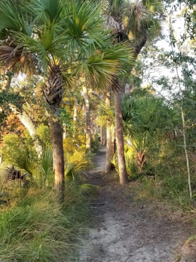Jungle Road Park - Edisto Island, SC