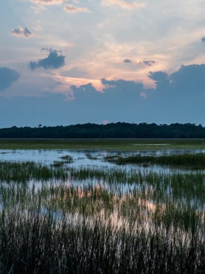 Jungle Road Park - Edisto Island, SC