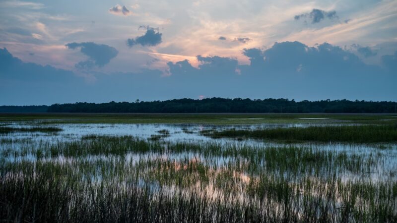 Jungle Road Park - Edisto Island, SC