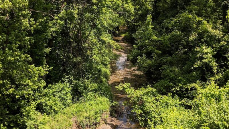Edwardsville City Park - Edwardsville, KS