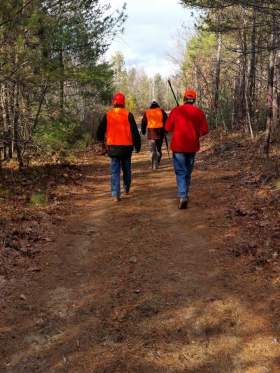 Green Mountain Kennels Inc - Effingham, NH