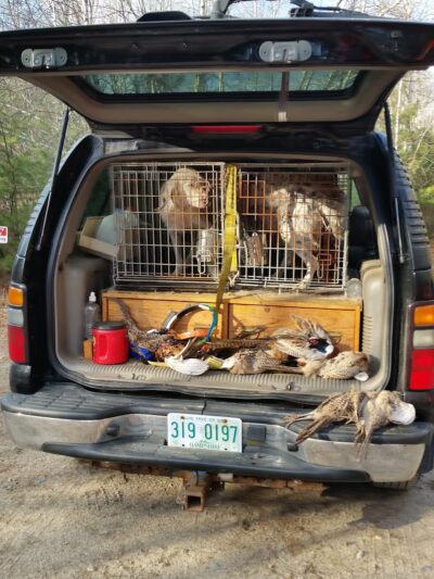Green Mountain Kennels Inc - Effingham, NH