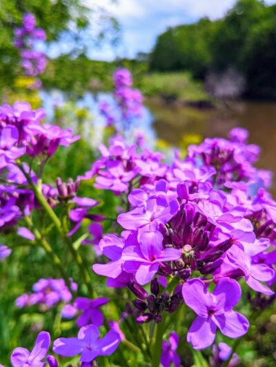 City Park - Egan, SD