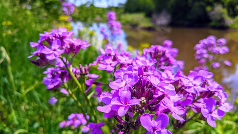 City Park - Egan, SD