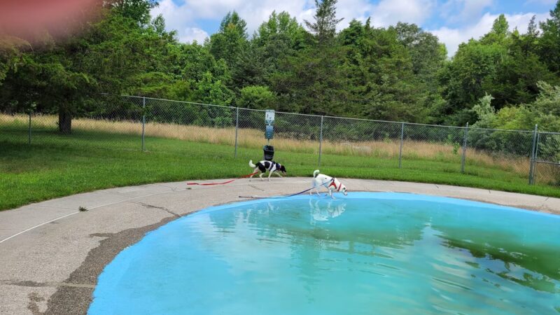 All Star Pet Resort - Egg Harbor City, NJ