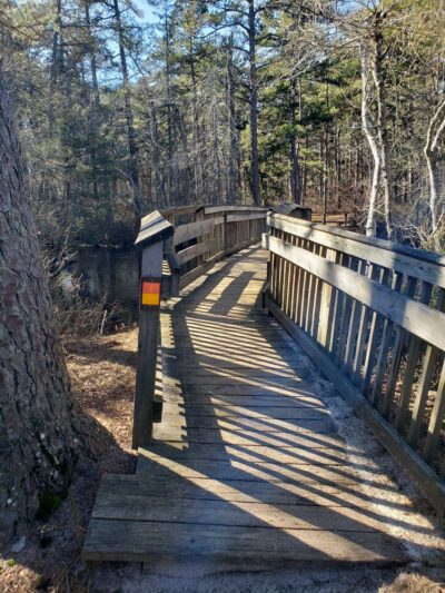 Batsto Bench - Egg Harbor City, NJ