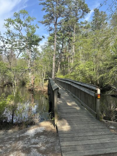 Batsto Bench - Egg Harbor City, NJ