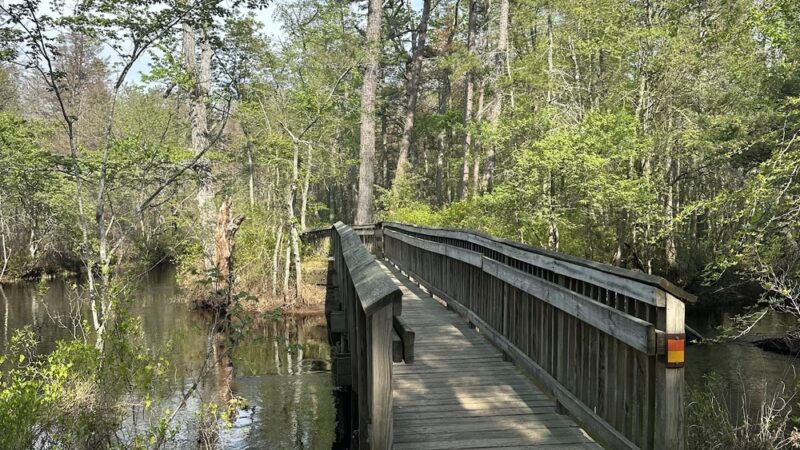 Batsto Bench - Egg Harbor City, NJ