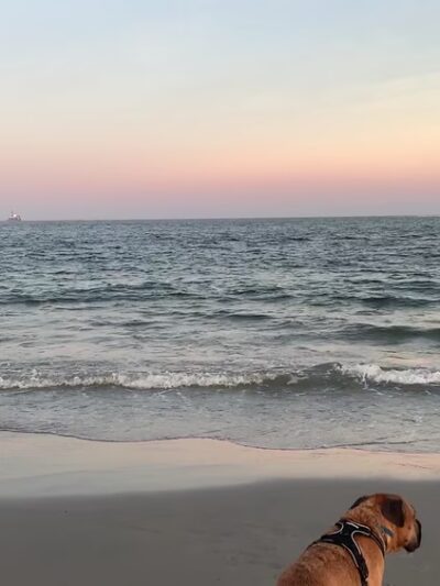 Longport Dog Beach - Egg Harbor Township, NJ