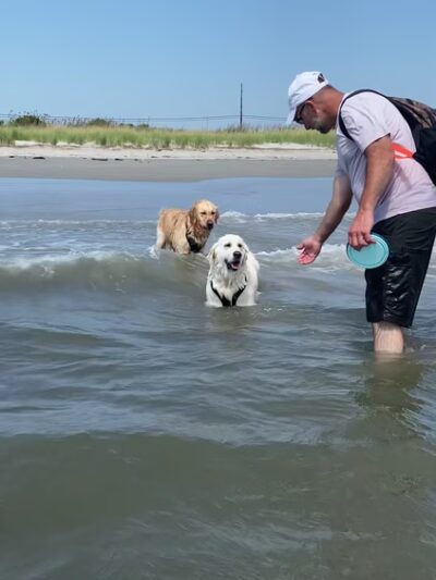 Longport Dog Beach - Egg Harbor Township, NJ