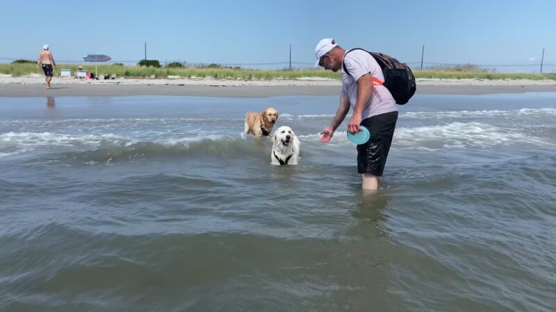 Longport Dog Beach - Egg Harbor Township, NJ