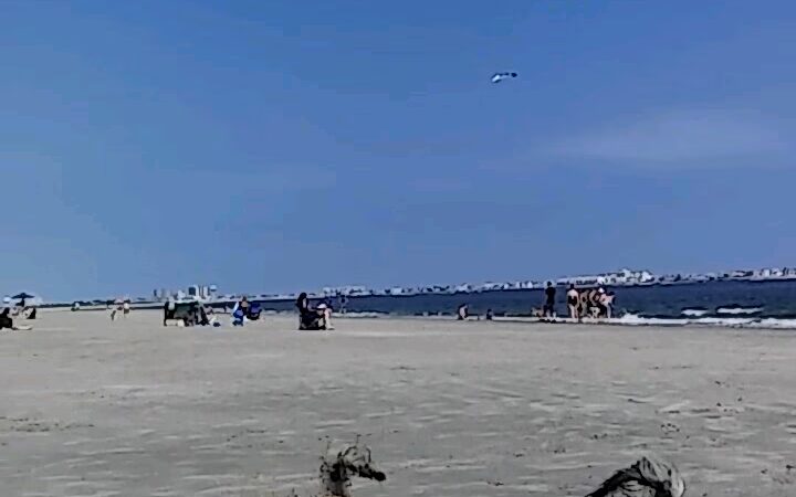 Longport Dog Beach - Egg Harbor Township, NJ