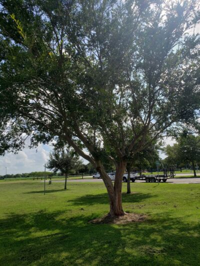 Friendship Park - El Campo, TX